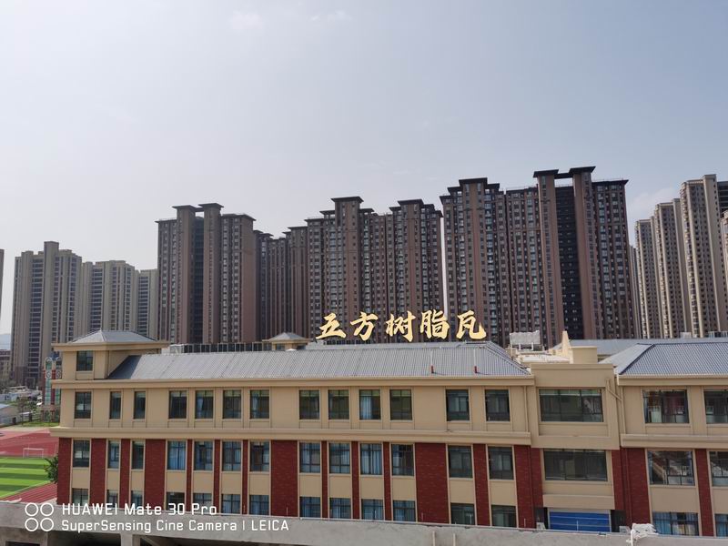 合成樹(shù)脂瓦案例